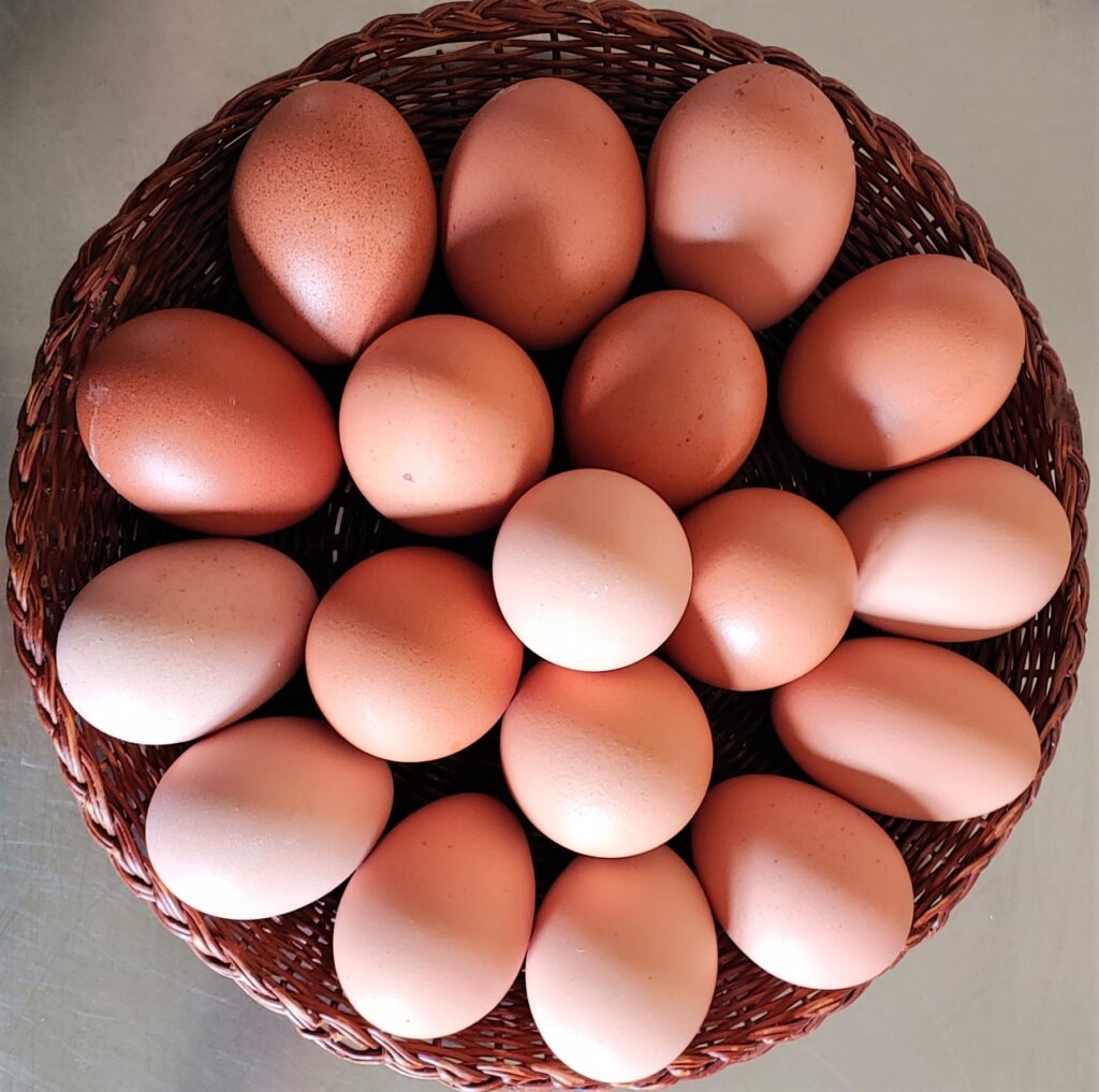 eggs arranged like a flower