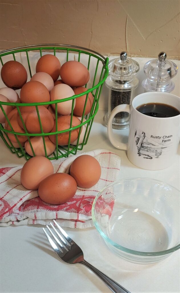 Eggs on the counter ready to cook.