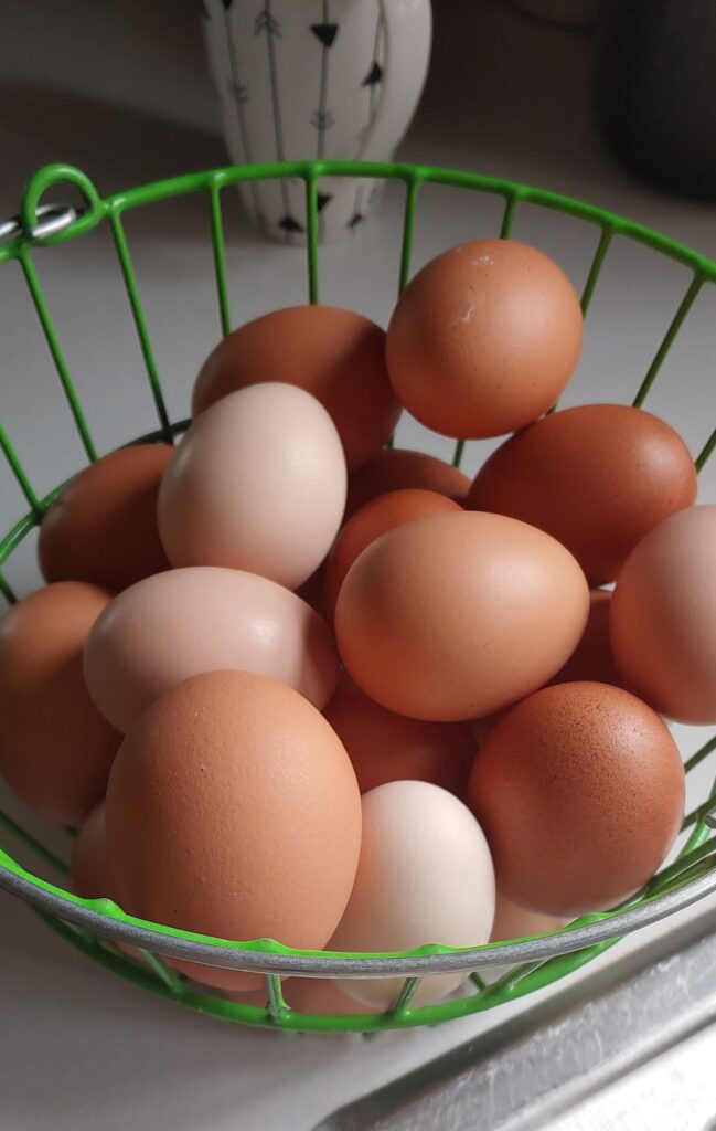 Eggs in a basket by the kitchen sink