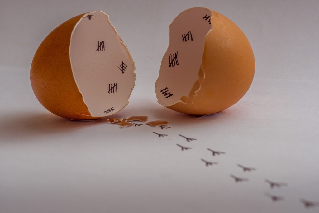 Cracked egg with hash marks inside marking the days to hatching.