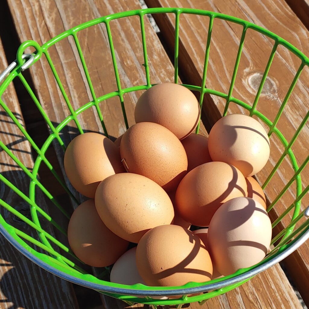 Fresh eggs in a basket..