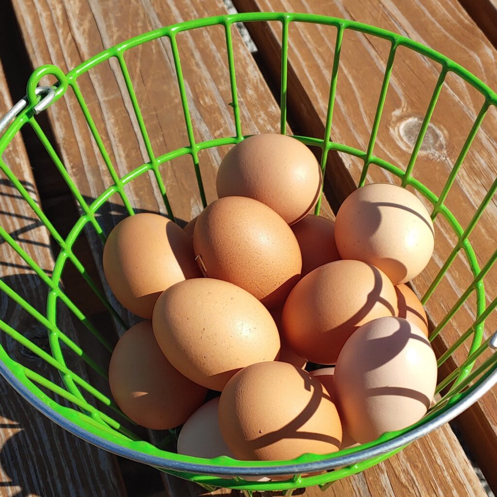 Basket of eggs