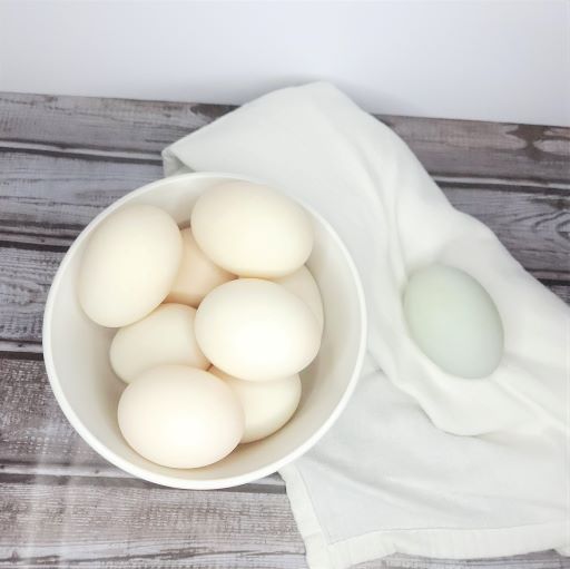 Duck eggs