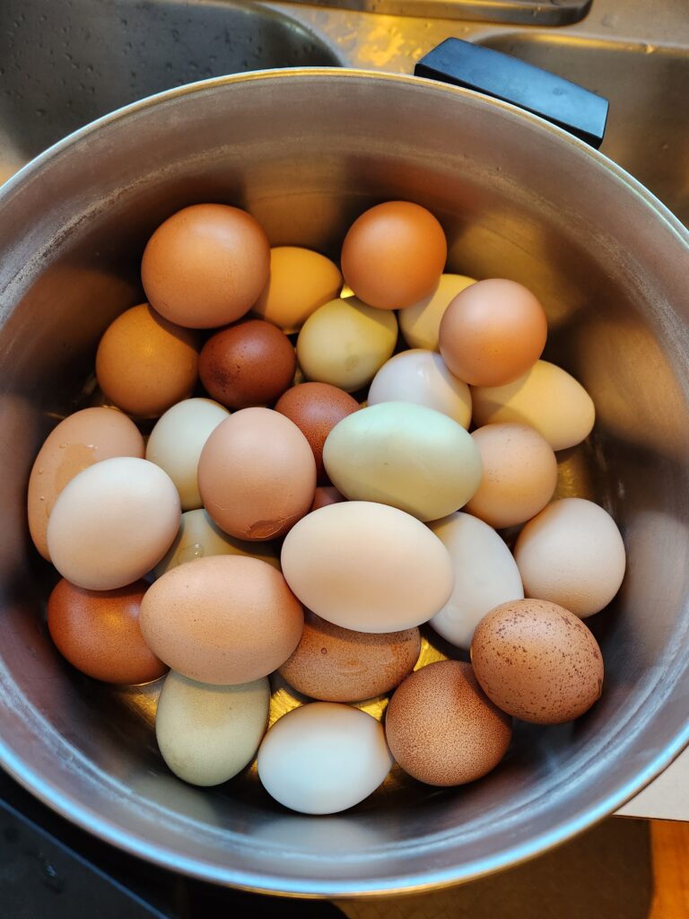 Eggs in a pot to be boiled